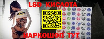 mdpv Заводоуковск