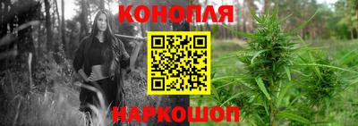 mdpv Заводоуковск