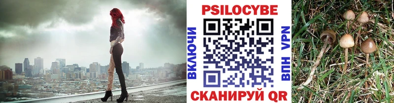 Галлюциногенные грибы мухоморы Новокузнецк