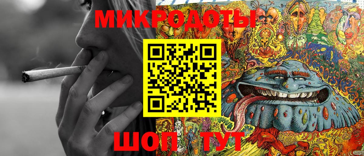 Псилоцибиновые грибы Psilocybine cubensis  Галлюциногенные грибы мицелий  Новокузнецк 